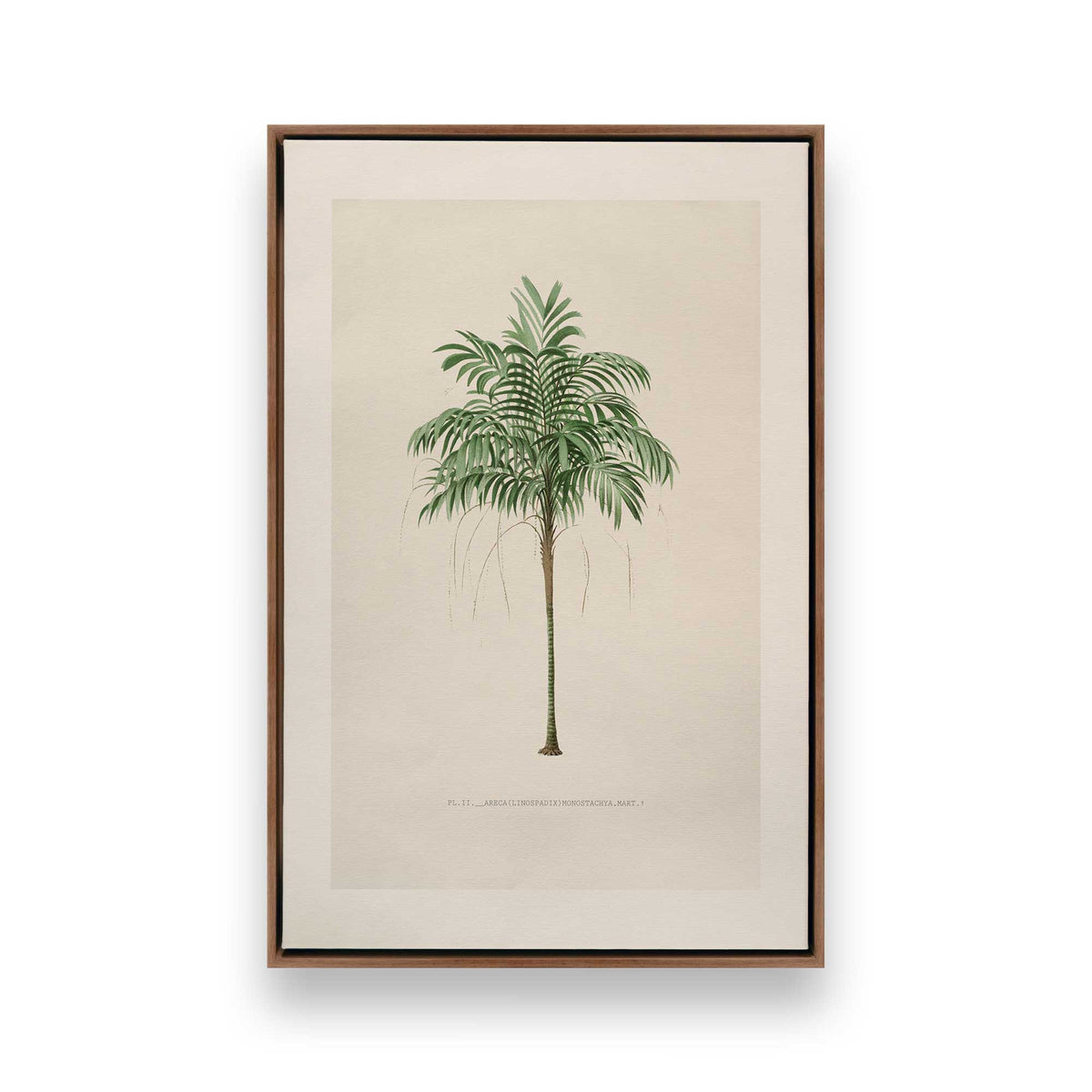 [Color:Walnut], Picture of art in a Walnut frame