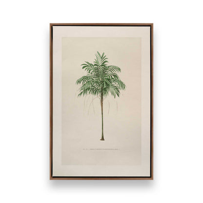[Color:Walnut], Picture of art in a Walnut frame