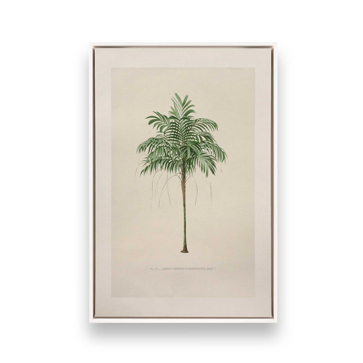[Color:Opaque White], Picture of art in a White frame