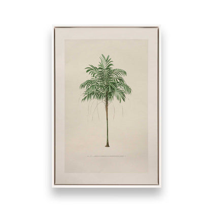 [Color:Opaque White], Picture of art in a White frame