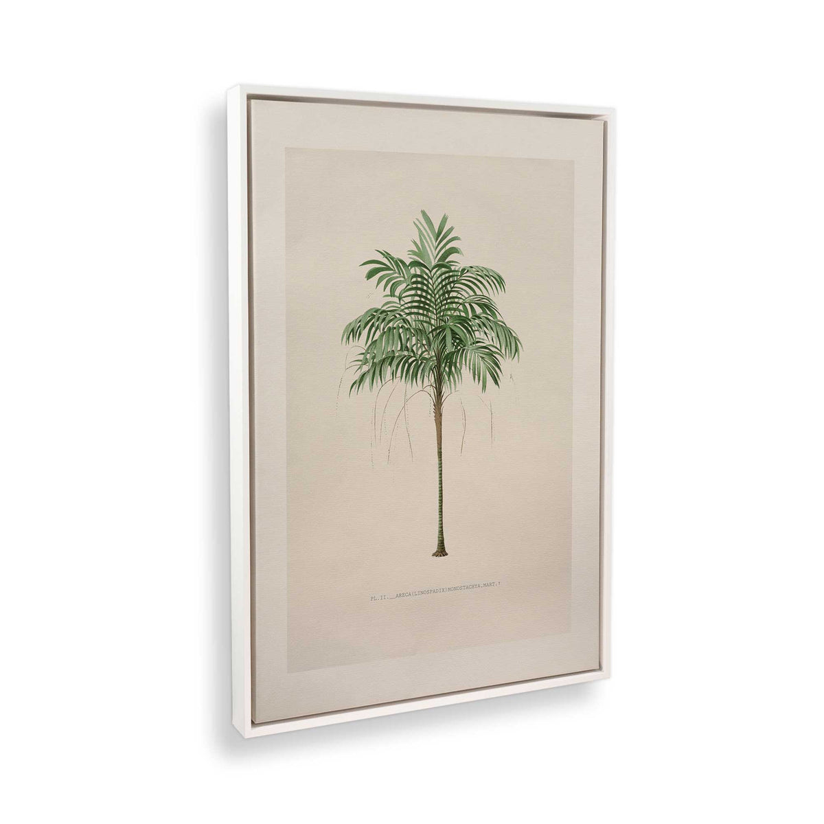 [Color:Opaque White], Picture of the corner of the art