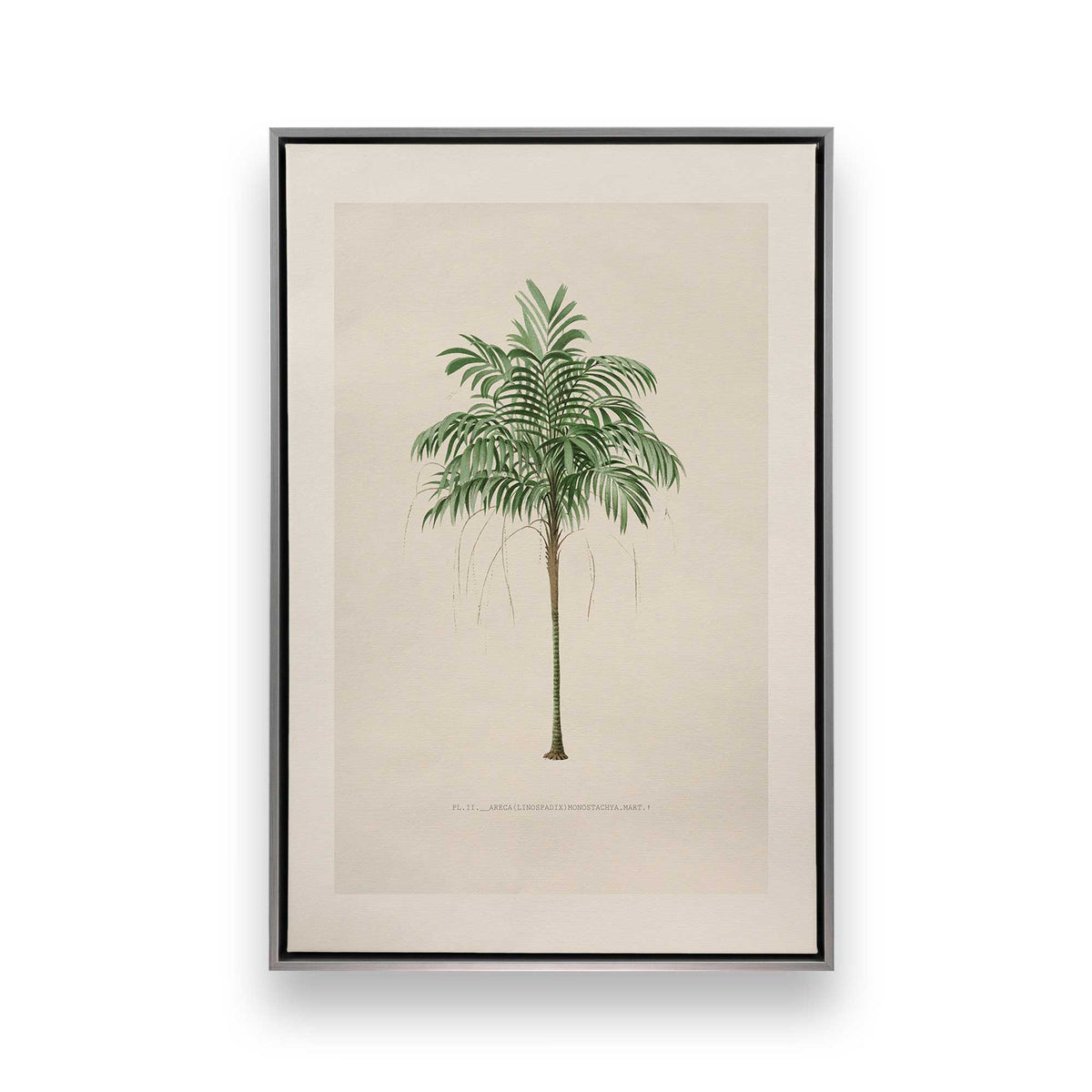 [Color:Polished Chrome], Picture of art in a Polished Chrome frame