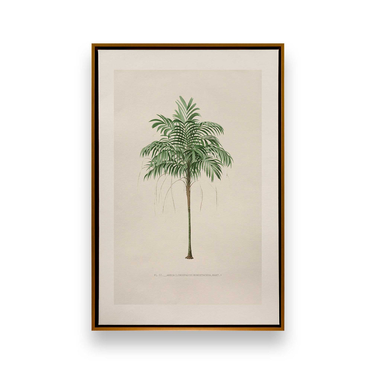 [Color:Polished Gold], Picture of art in a Polished Gold frame