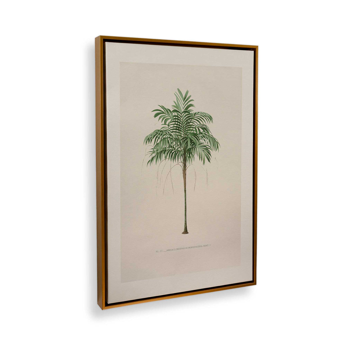 [Color:Polished Gold], Picture of the corner of the art