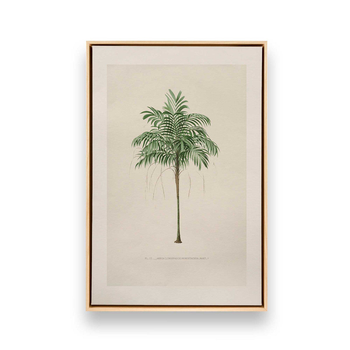 [Color:American Maple], Picture of art in a American Maple frame