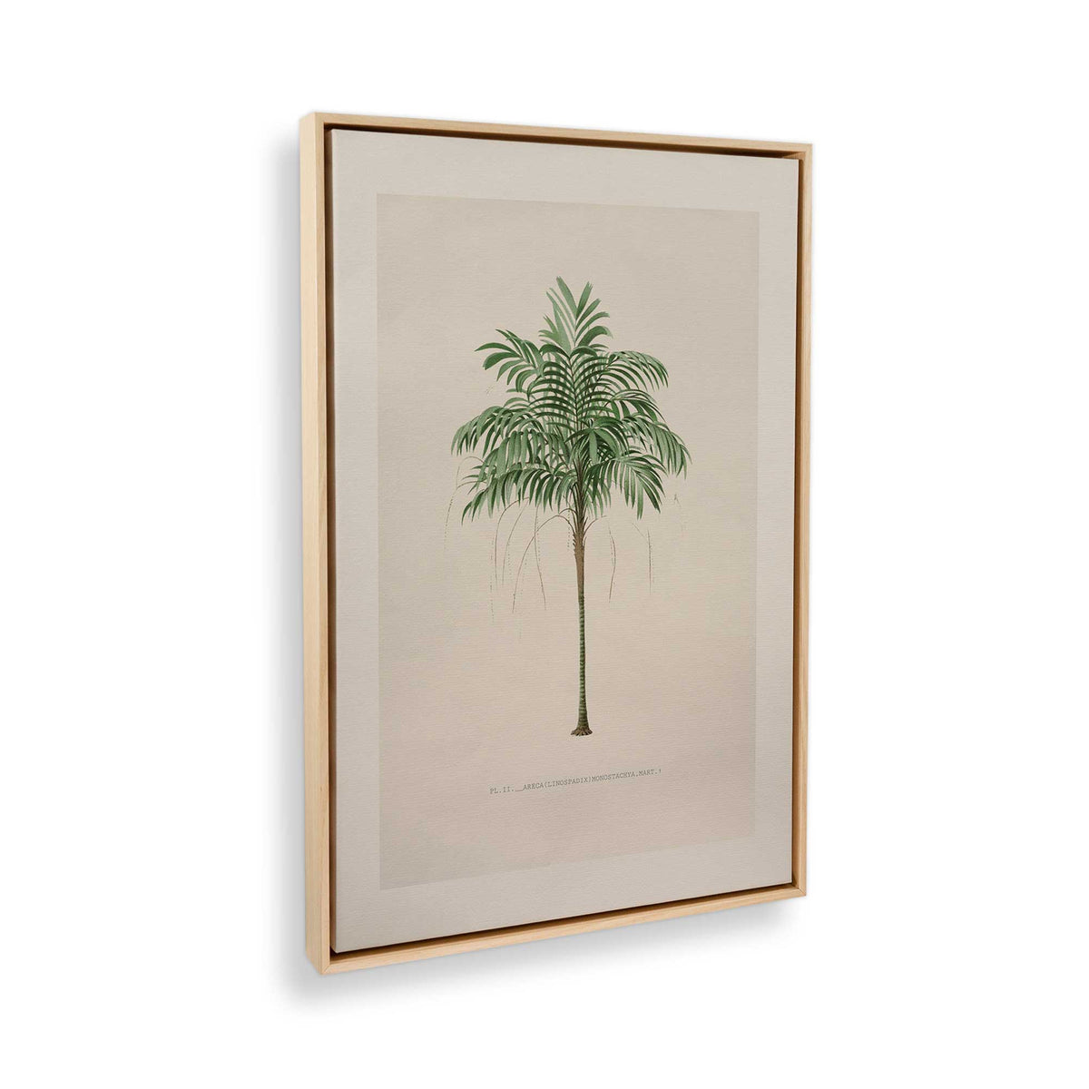 [Color:American Maple], Picture of the corner of the art