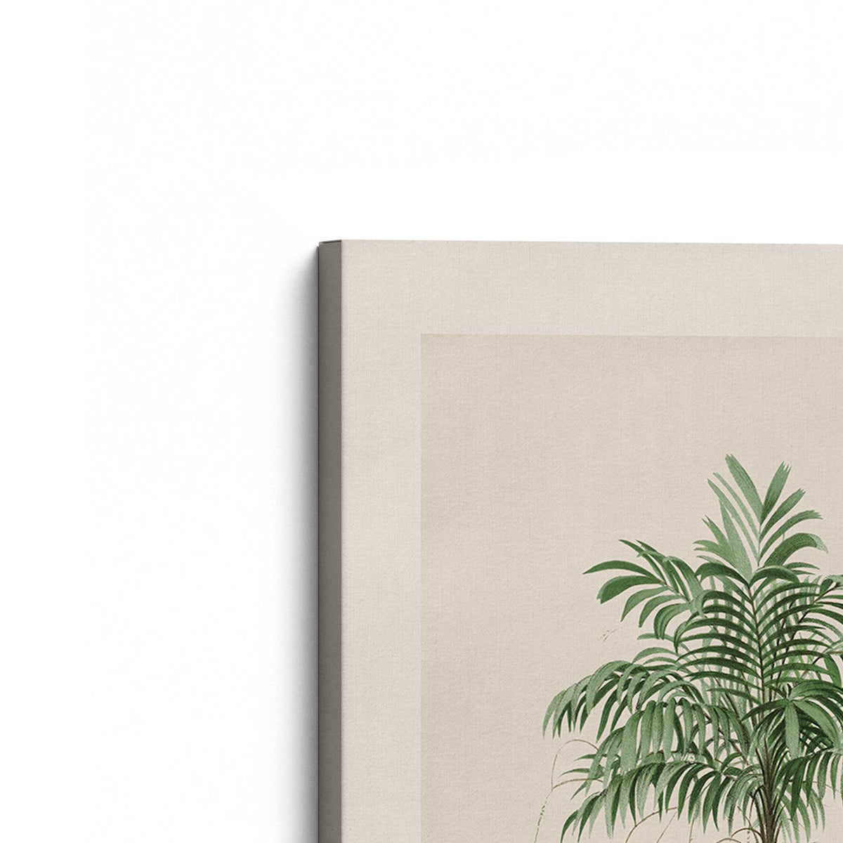 [Color:Stretched Canvas], Picture of the corner of the art