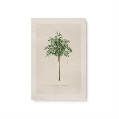 [Color:Stretched Canvas], Picture of art