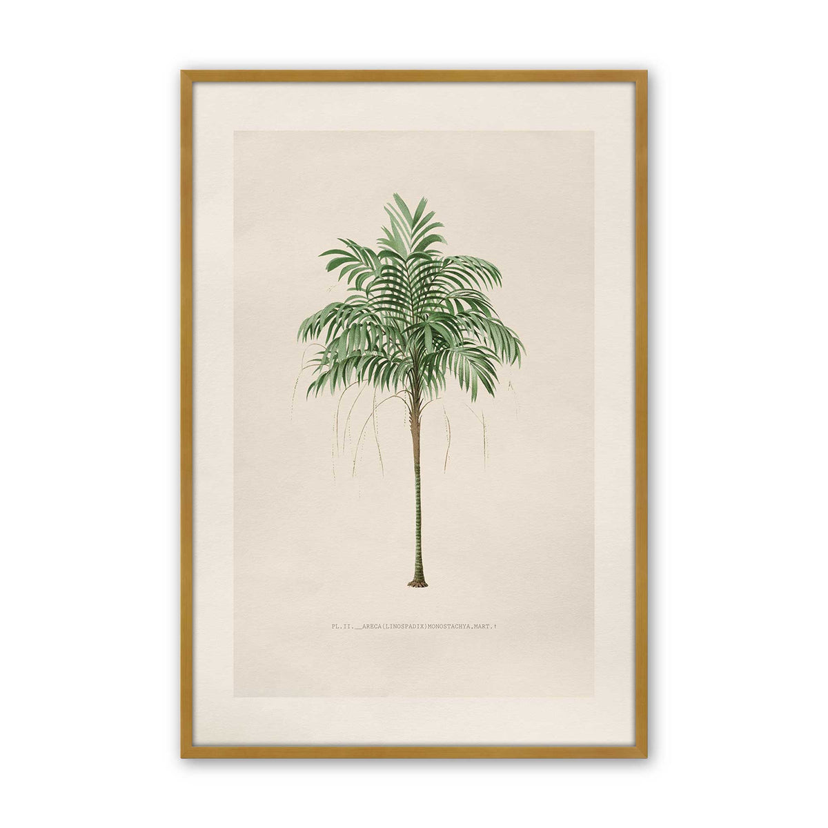 [Color:Polished Gold], Picture of art in a Polished Chrome frame