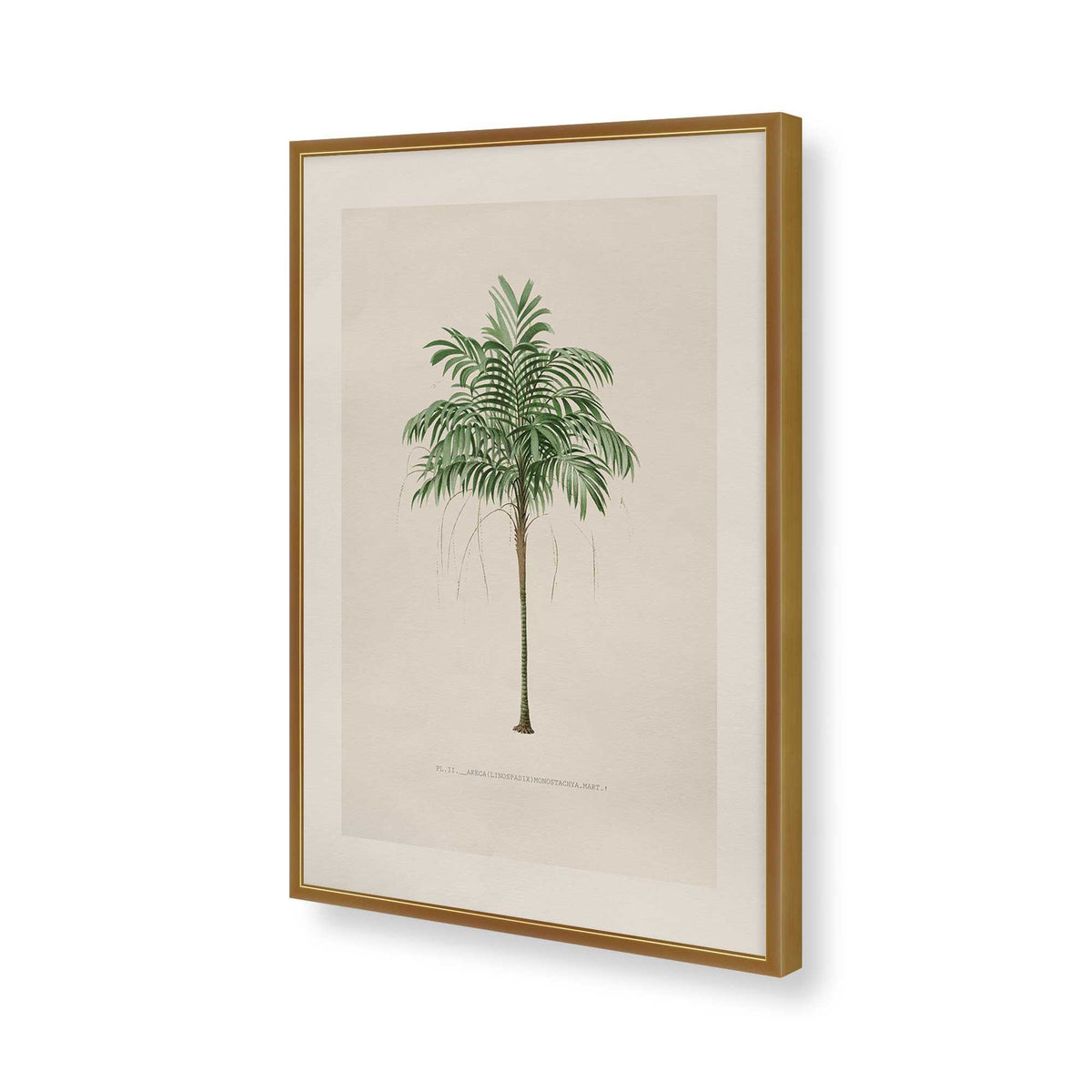[Color:Polished Gold], Picture of art in a Polished Chrome frame of the corner