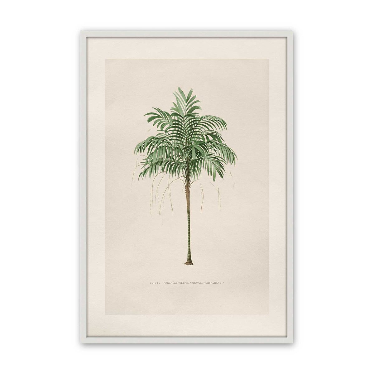 [Color:Opaque White], Picture of art in a Polished Chrome frame