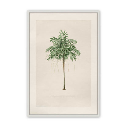 [Color:Opaque White], Picture of art in a Polished Chrome frame