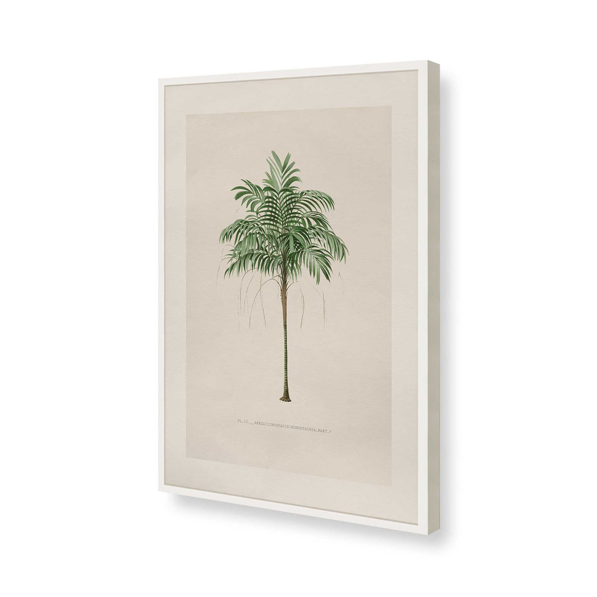[Color:Opaque White], Picture of art in a Polished Chrome frame of the corner