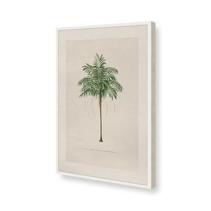[Color:Opaque White], Picture of art in a Polished Chrome frame of the corner