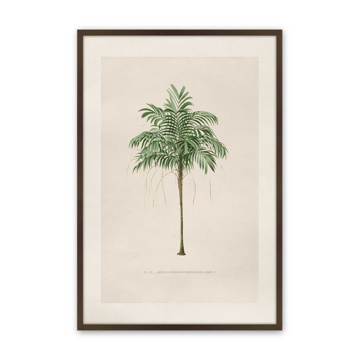[Color:Belvinder Brown], Picture of art in a Polished Chrome frame