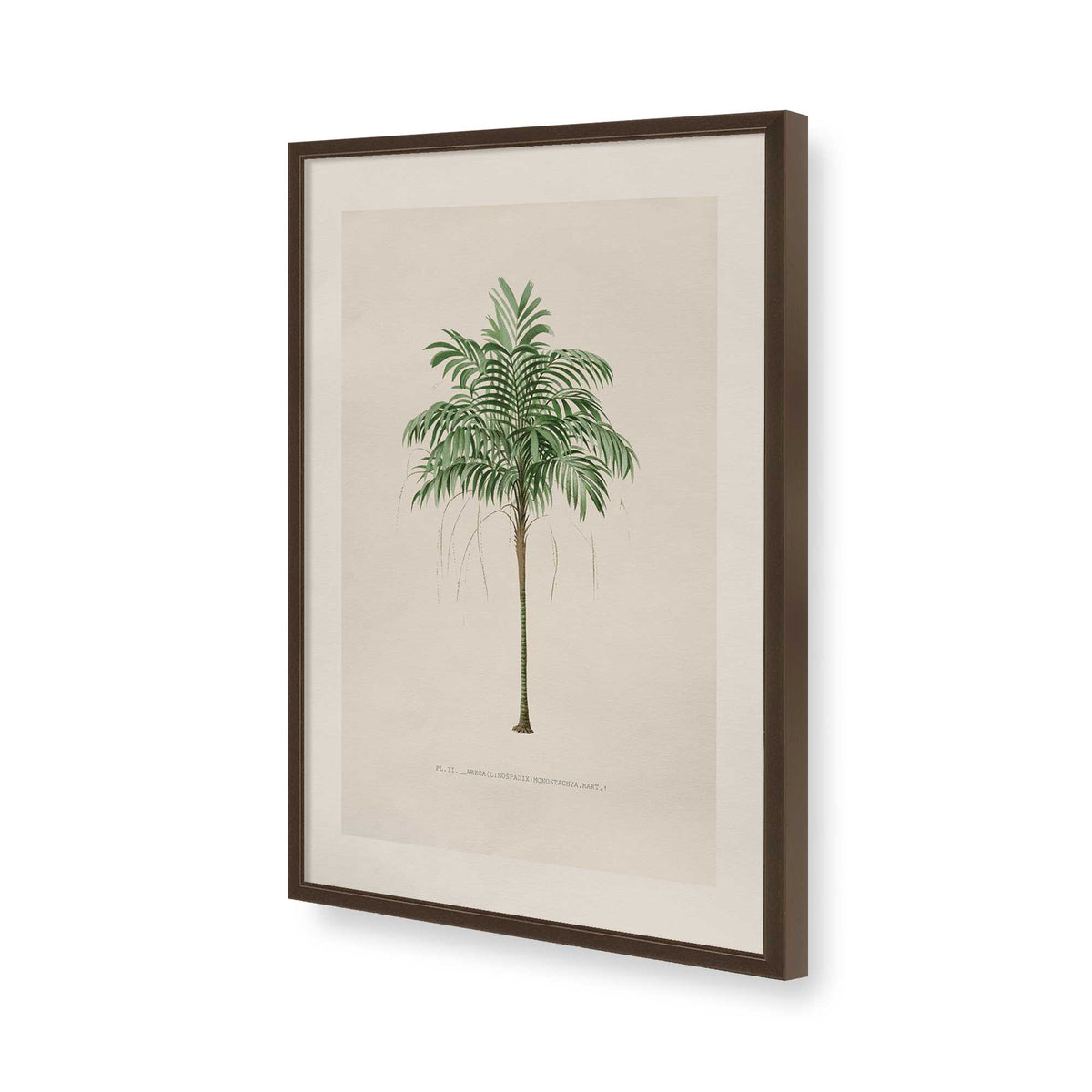 [Color:Belvinder Brown], Picture of art in a Polished Chrome frame of the corner