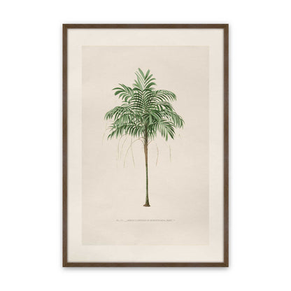 [Color:Walnut], Picture of art in a Polished Chrome frame