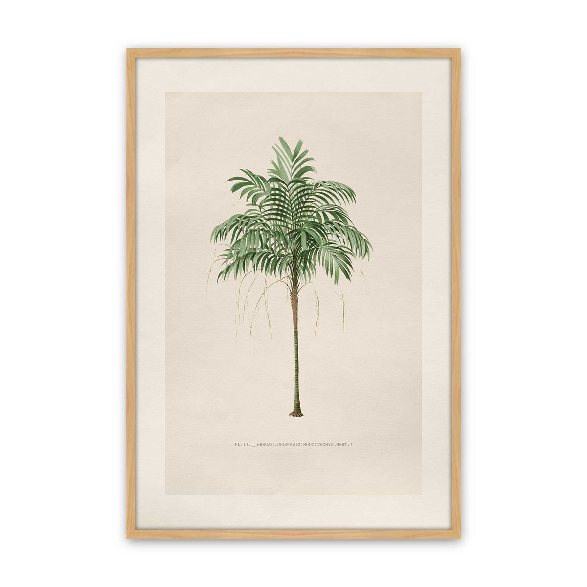[Color:American Maple], Picture of art in a Polished Chrome frame