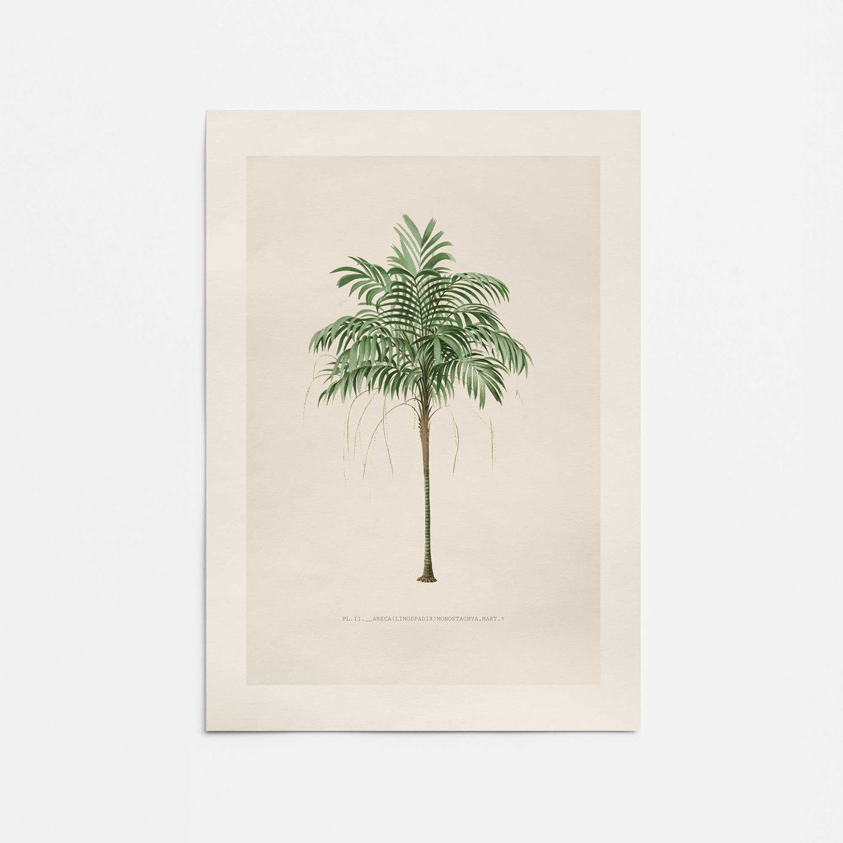 [Color:Rolled Print], Picture of close up of art