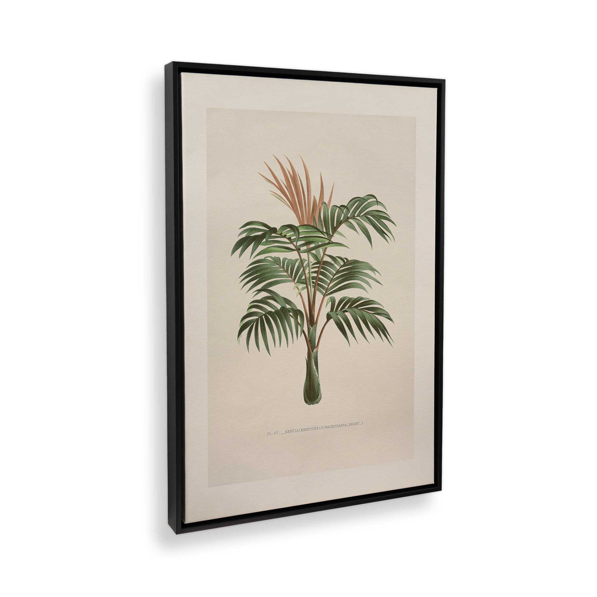 [Color:Satin Black], Picture of the corner of the art