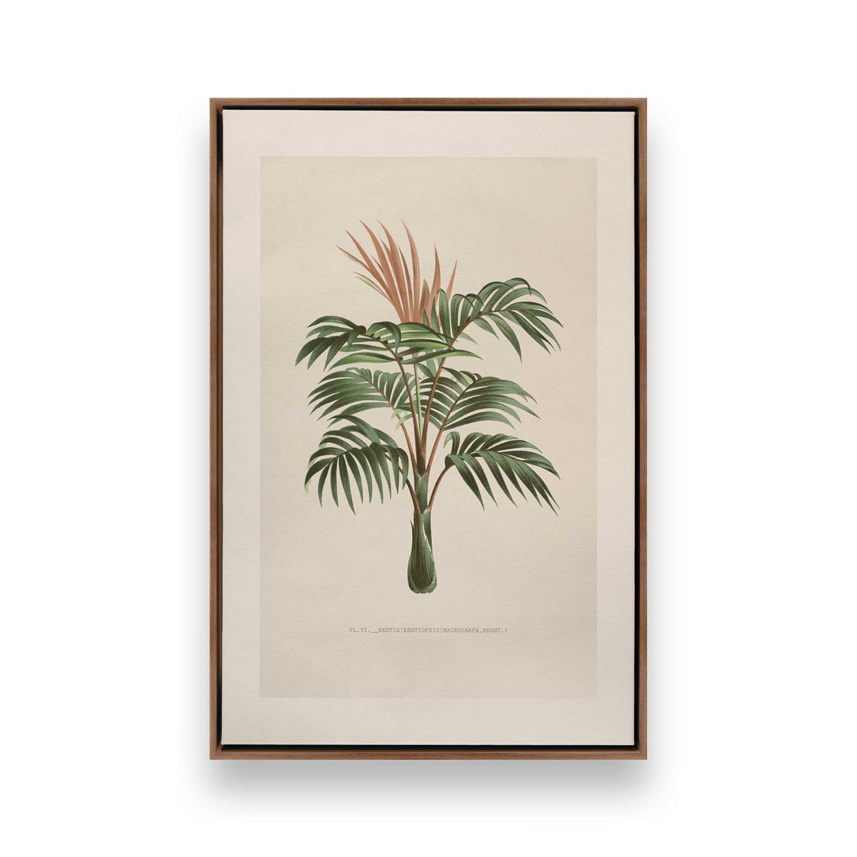[Color:Walnut], Picture of art in a Walnut frame