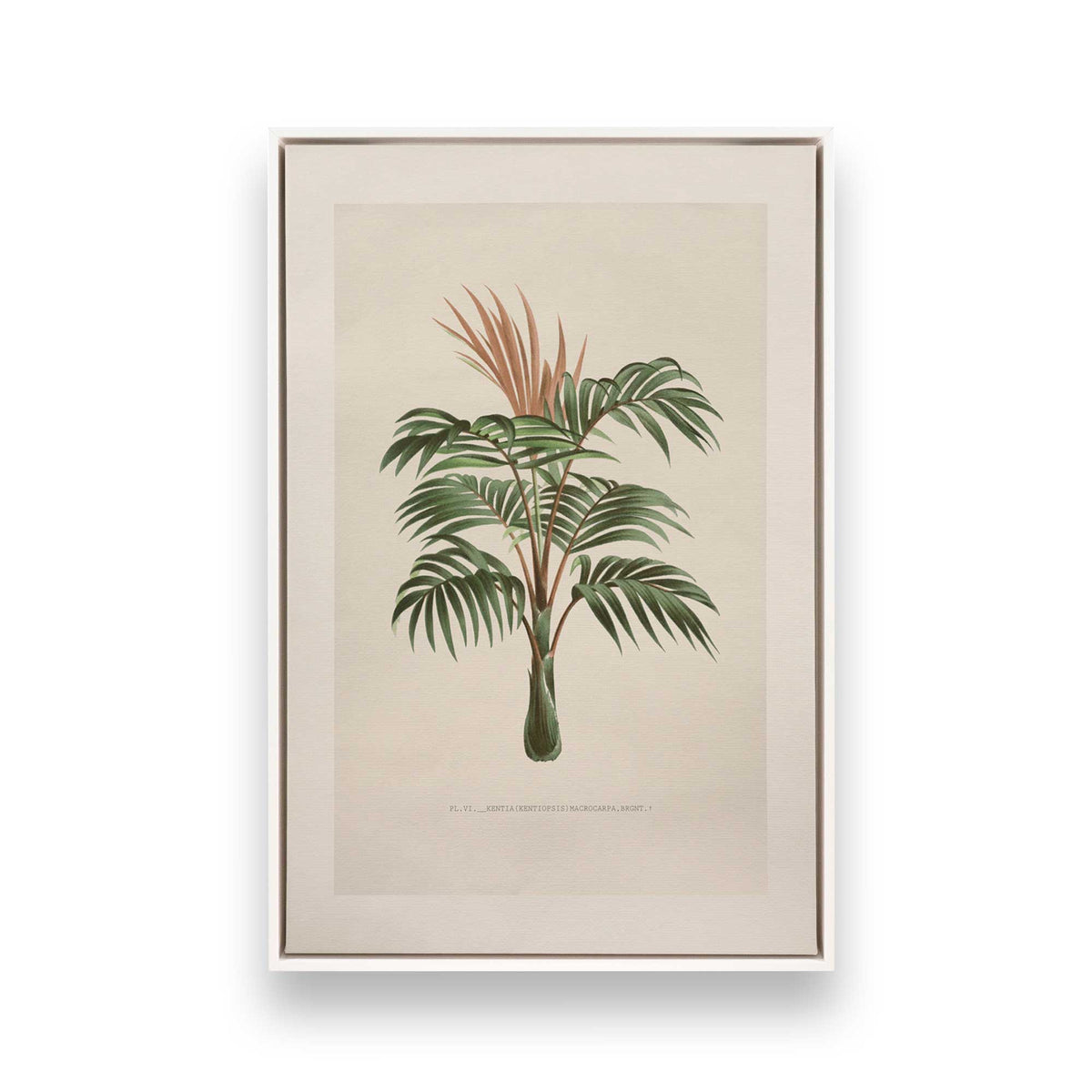 [Color:Opaque White], Picture of art in a White frame