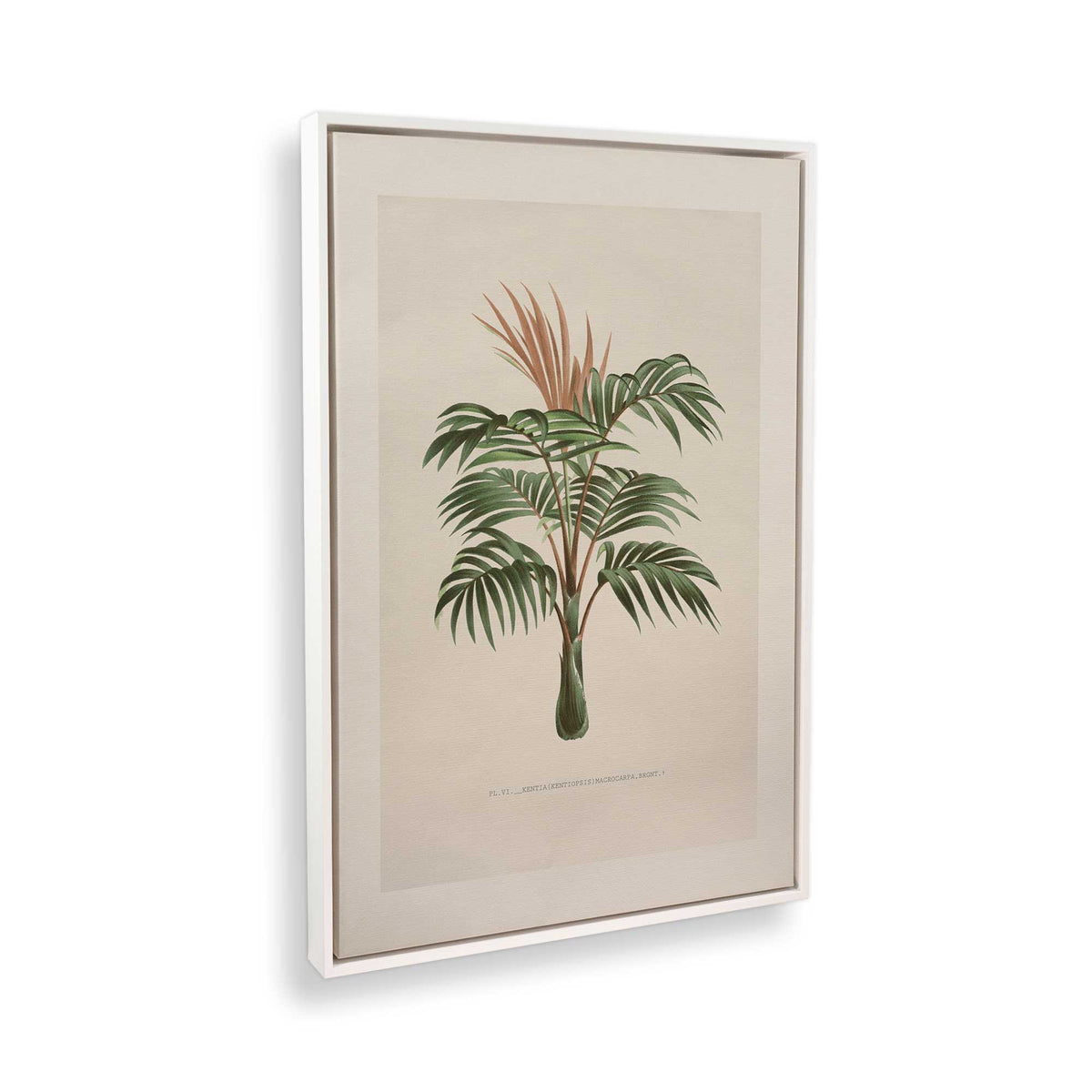 [Color:Opaque White], Picture of the corner of the art