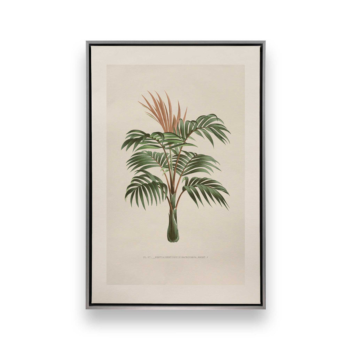 [Color:Polished Chrome], Picture of art in a Polished Chrome frame