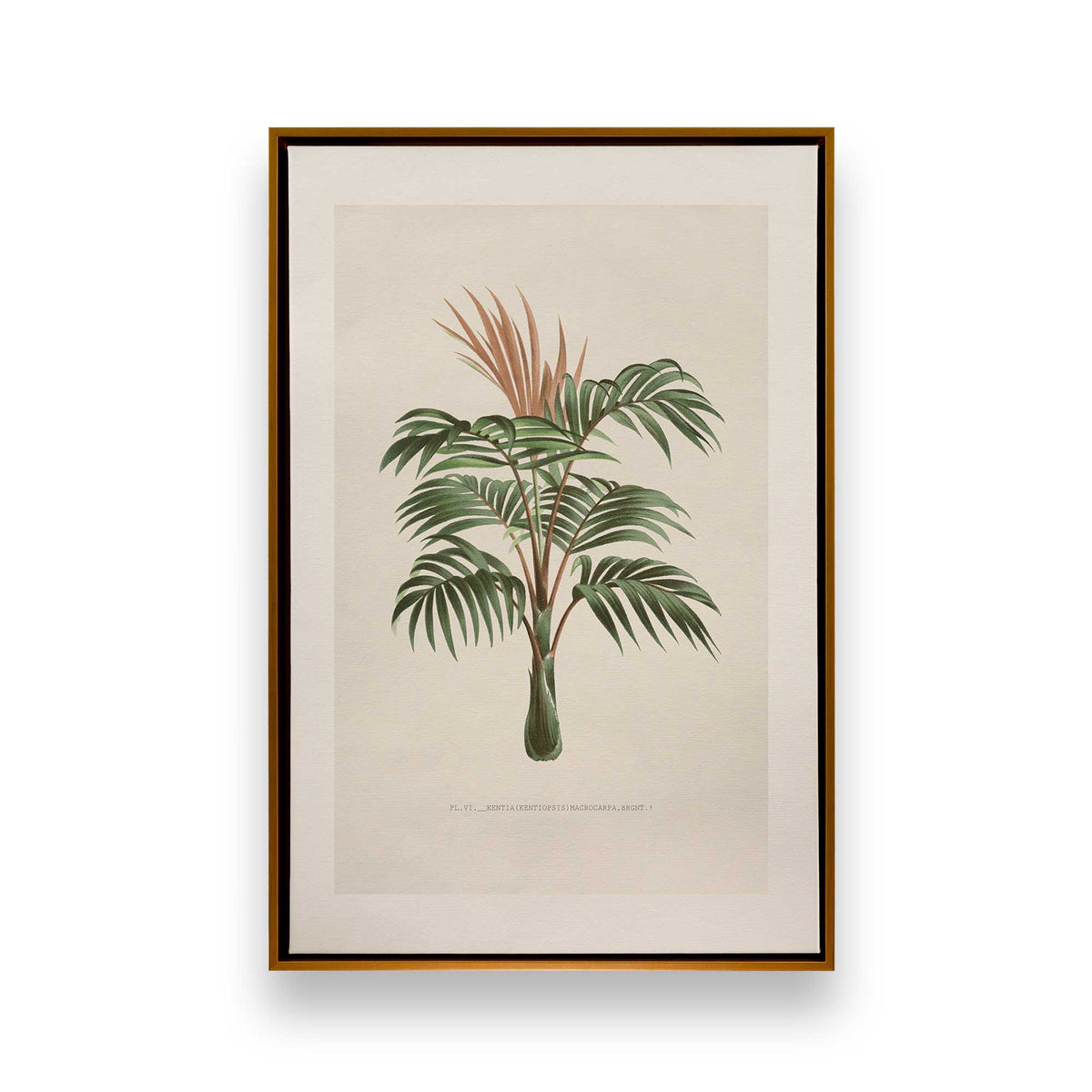 [Color:Polished Gold], Picture of art in a Polished Gold frame
