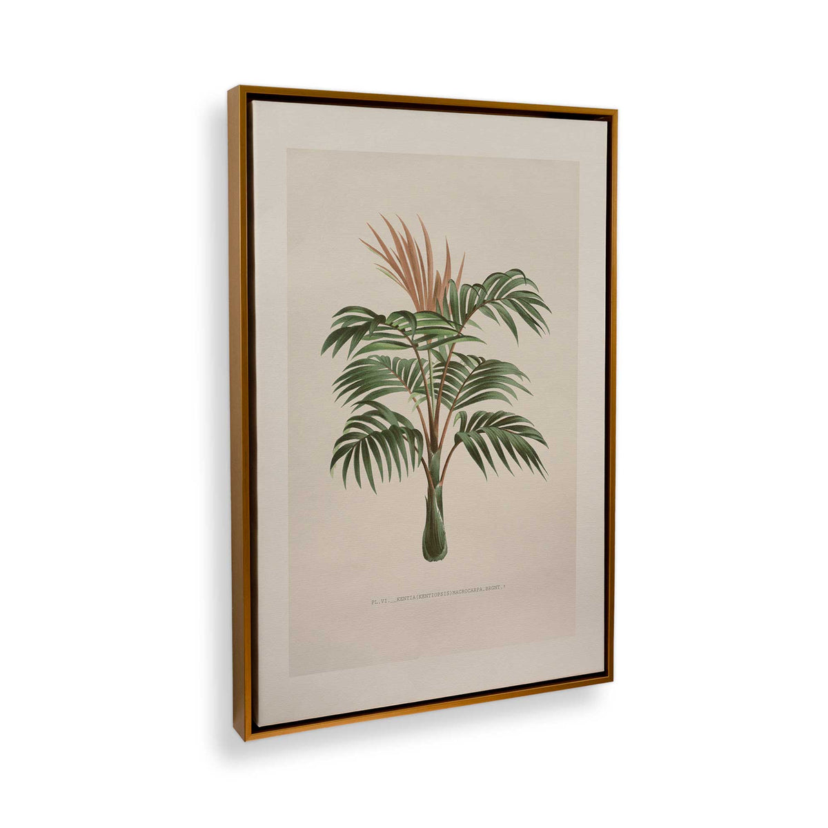 [Color:Polished Gold], Picture of the corner of the art