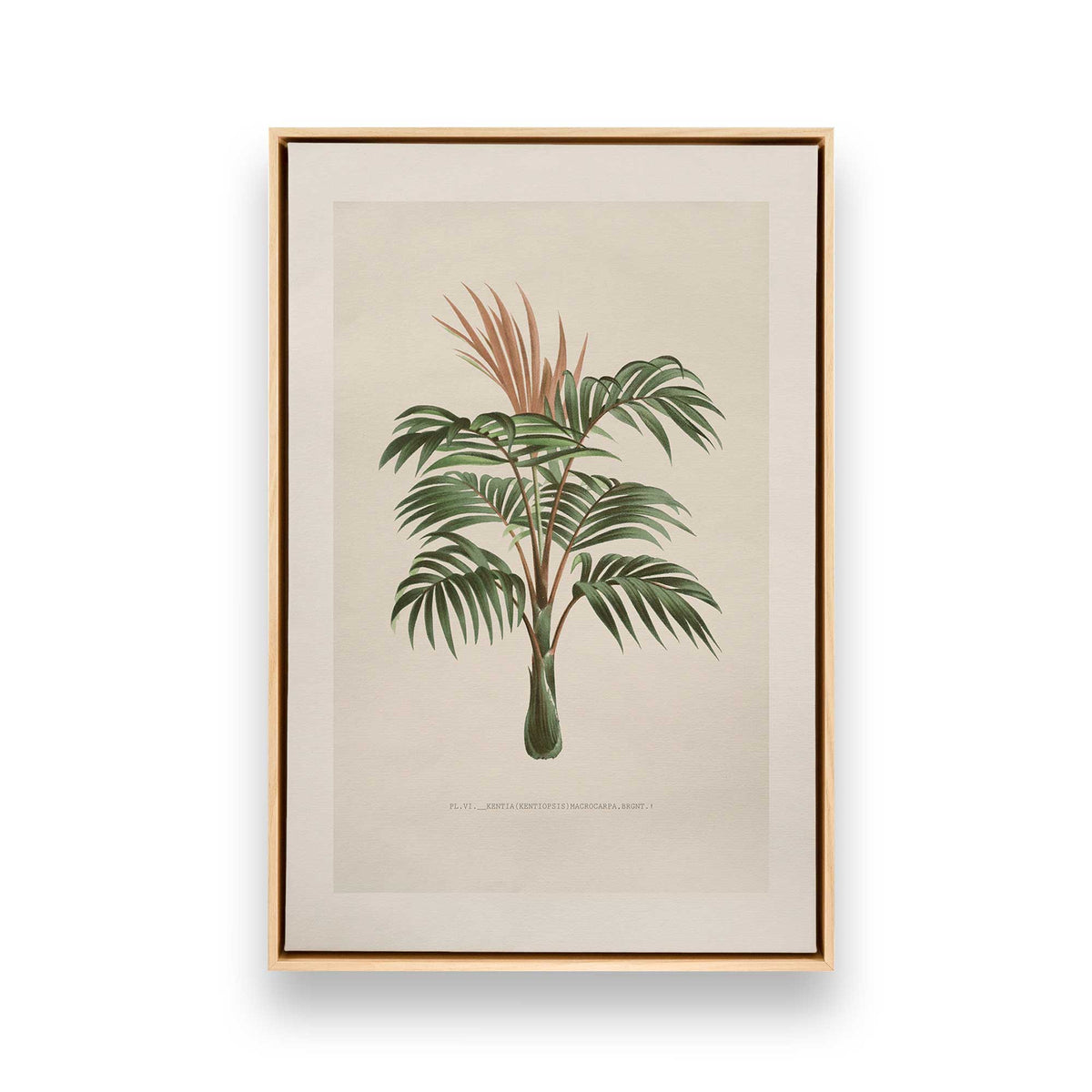 [Color:American Maple], Picture of art in a American Maple frame