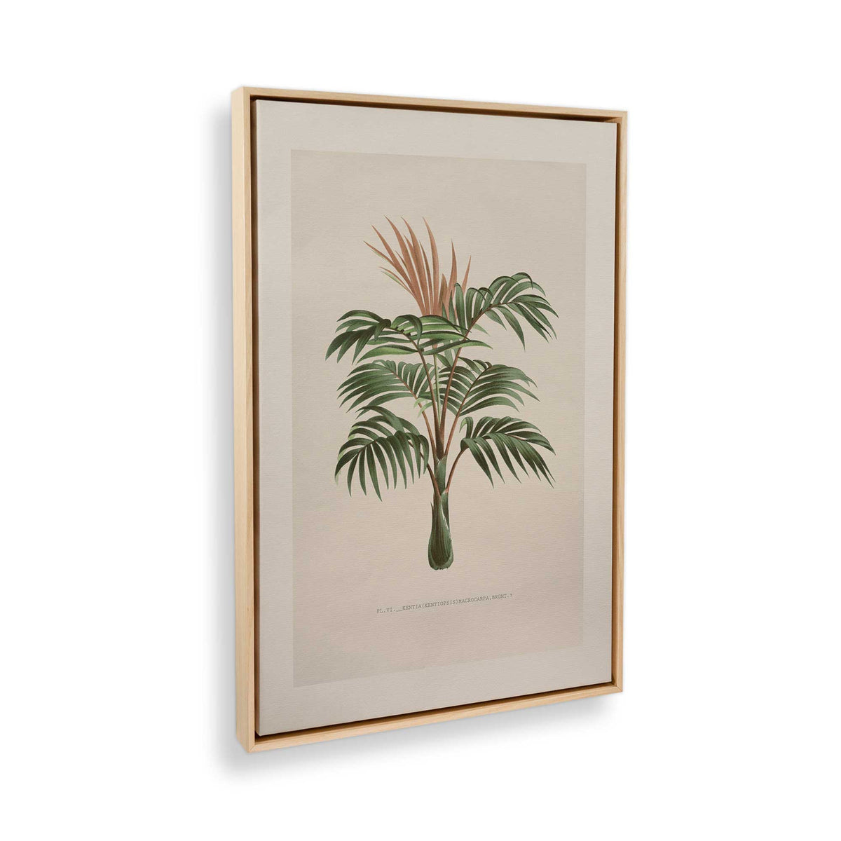 [Color:American Maple], Picture of the corner of the art
