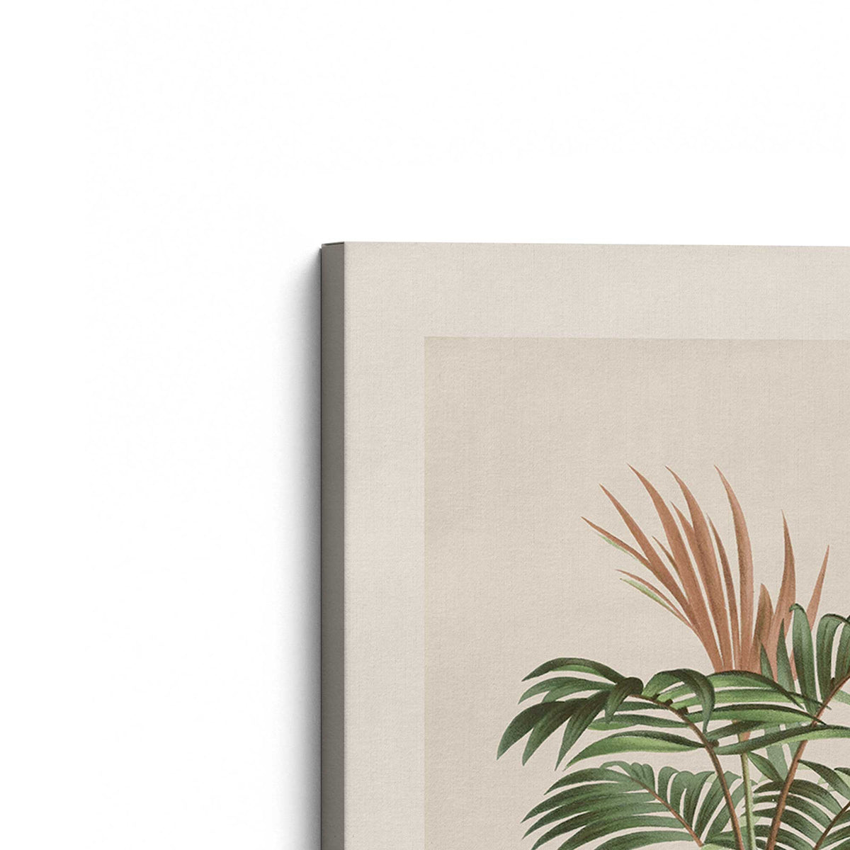 [Color:Stretched Canvas], Picture of the corner of the art