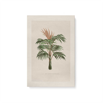 [Color:Stretched Canvas], Picture of art