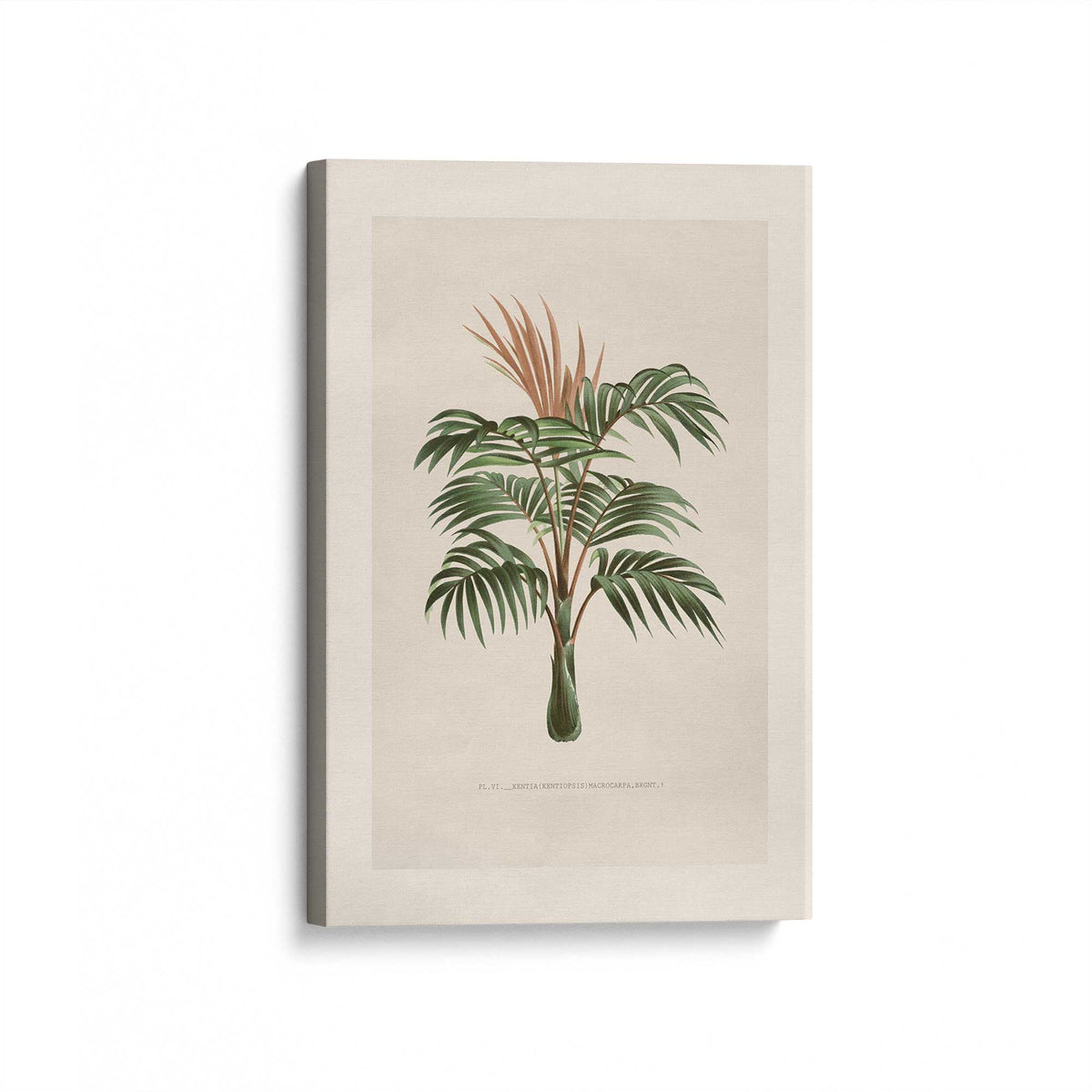 [Color:Stretched Canvas], Picture of art at an angle