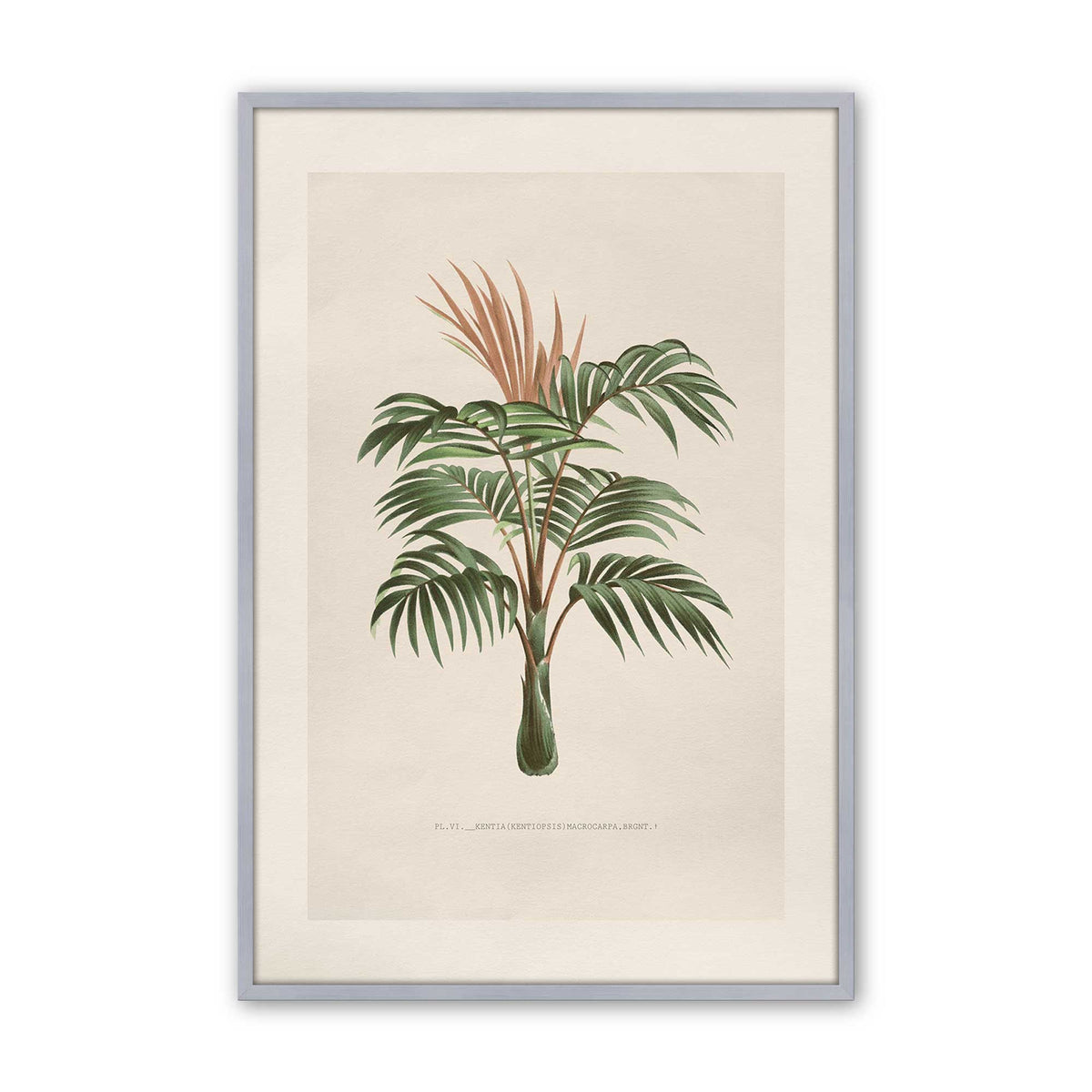 [Color:Polished Chrome], Picture of art in a Polished Chrome frame