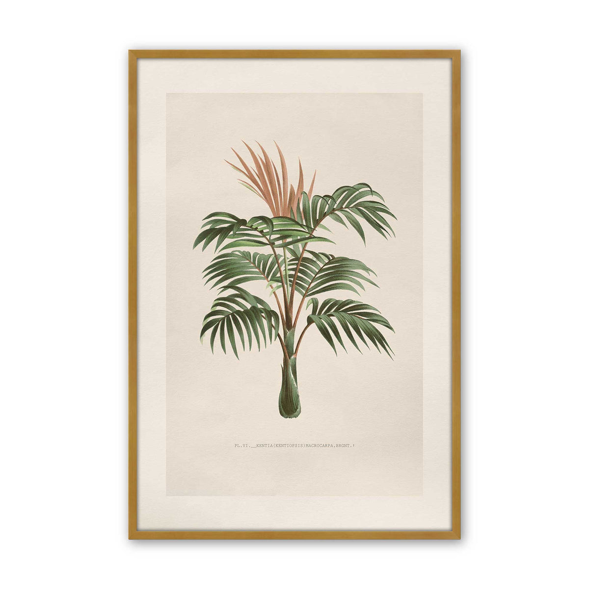 [Color:Polished Gold], Picture of art in a Polished Chrome frame