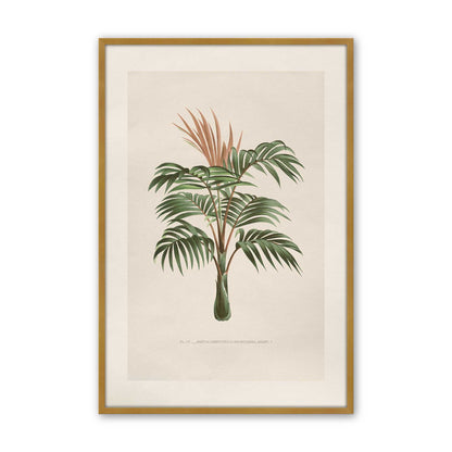 [Color:Polished Gold], Picture of art in a Polished Chrome frame