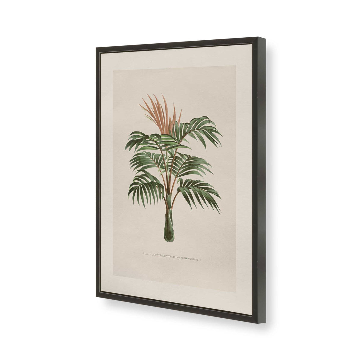 [Color:Satin Black], Picture of art in a Polished Chrome frame of the corner
