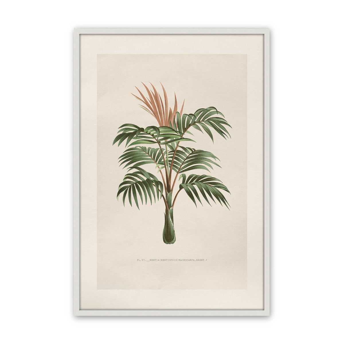 [Color:Opaque White], Picture of art in a Polished Chrome frame