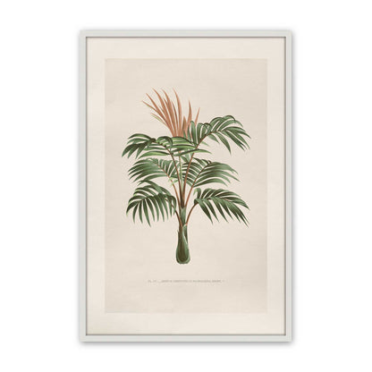 [Color:Opaque White], Picture of art in a Polished Chrome frame