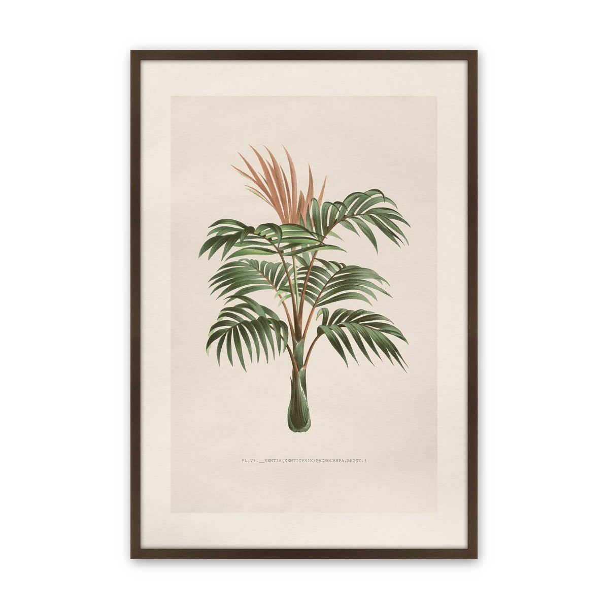 [Color:Belvinder Brown], Picture of art in a Polished Chrome frame