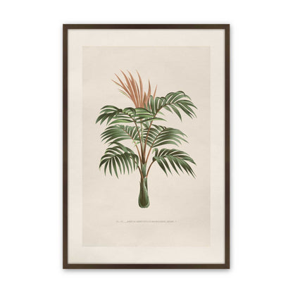 [Color:Belvinder Brown], Picture of art in a Polished Chrome frame
