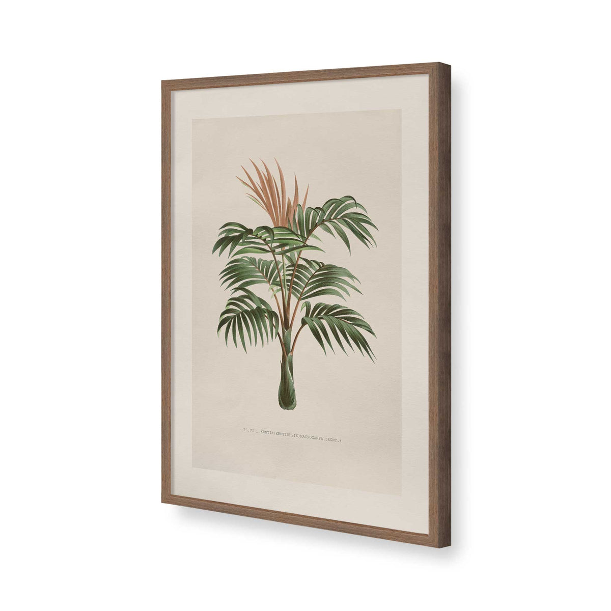 [Color:Walnut], Picture of art in a Polished Chrome frame of the corner
