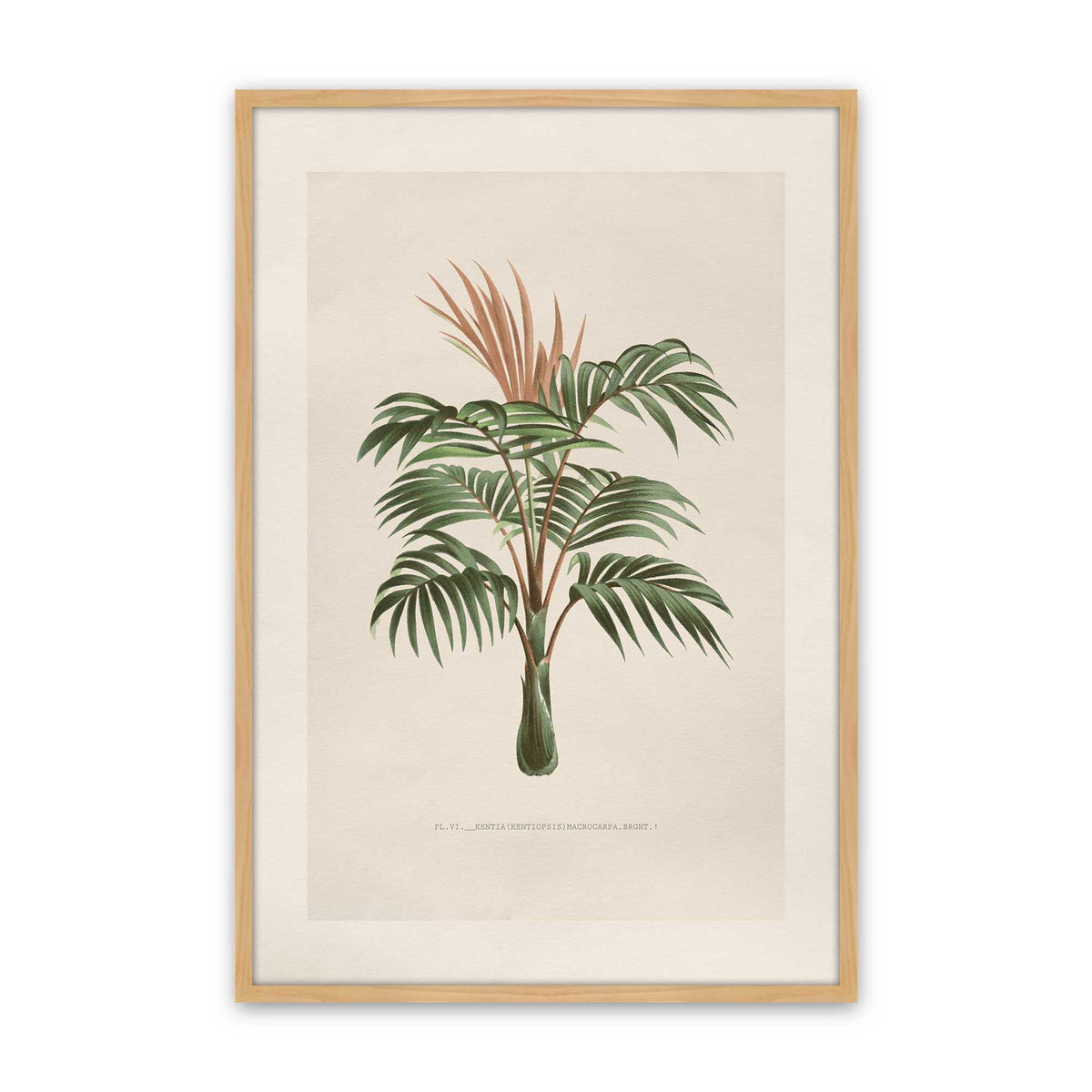 [Color:American Maple], Picture of art in a Polished Chrome frame