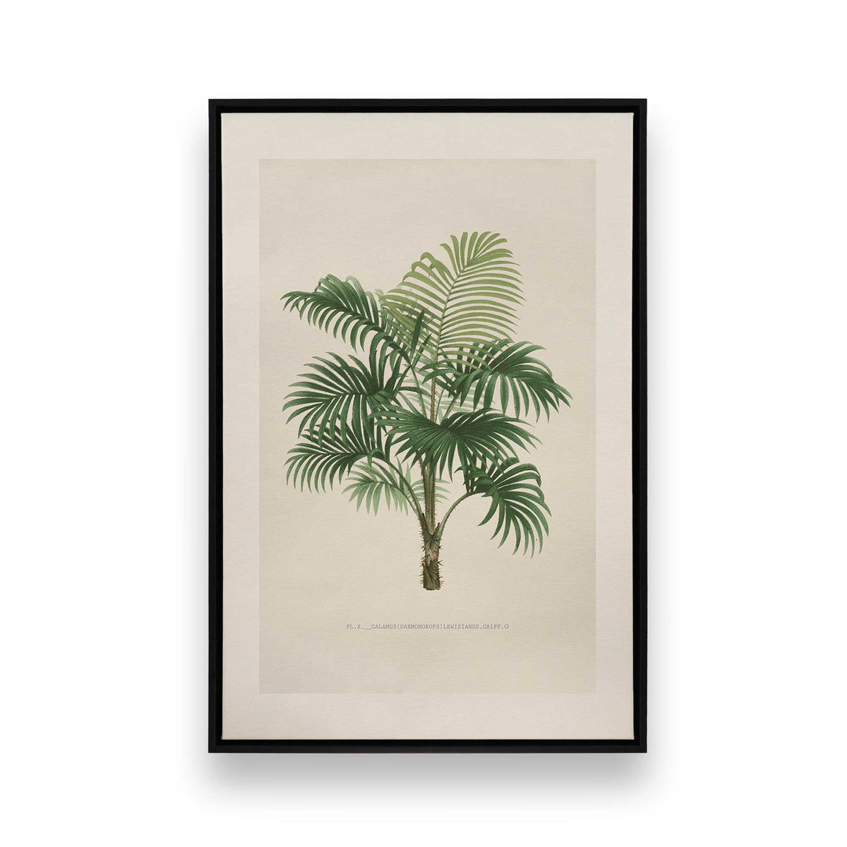 [Color:Satin Black], Picture of art in a Satin Black frame