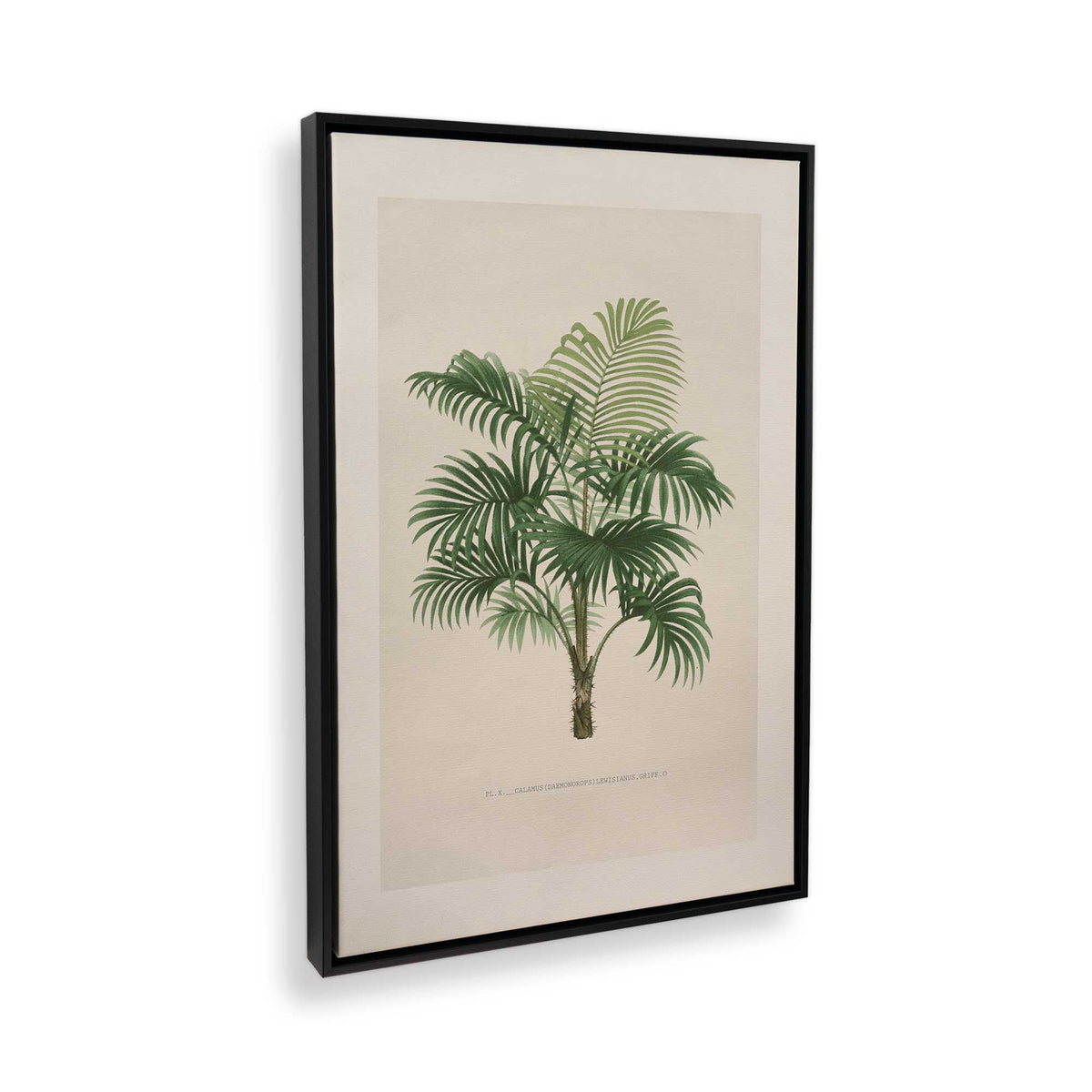 [Color:Satin Black], Picture of the corner of the art