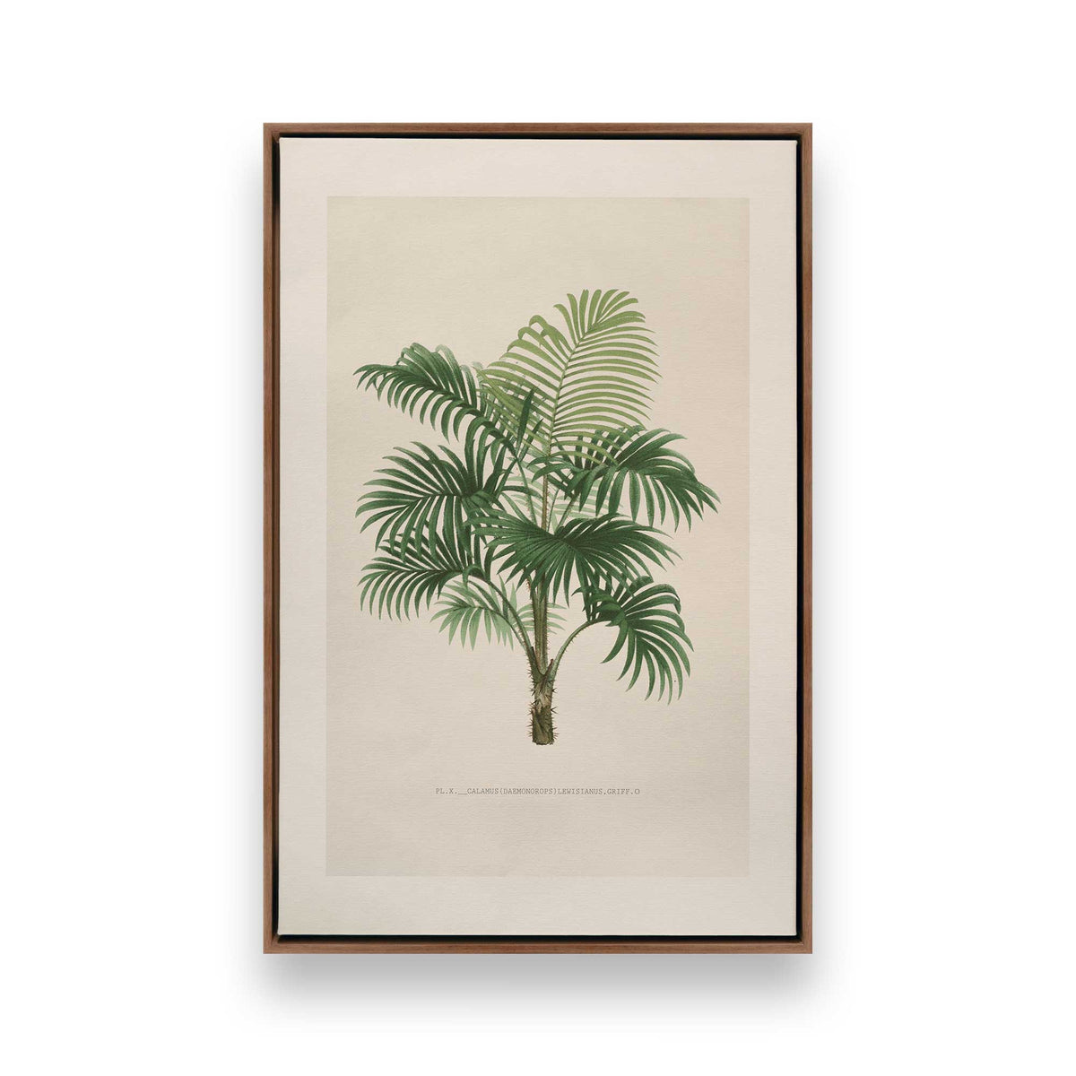 [Color:Walnut], Picture of art in a Walnut frame