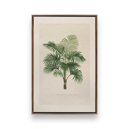 [Color:Walnut], Picture of art in a Walnut frame