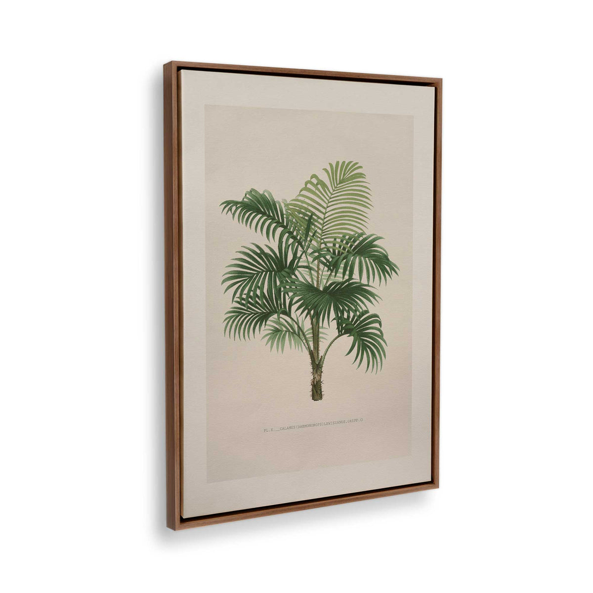 [Color:Walnut], Picture of the corner of the art